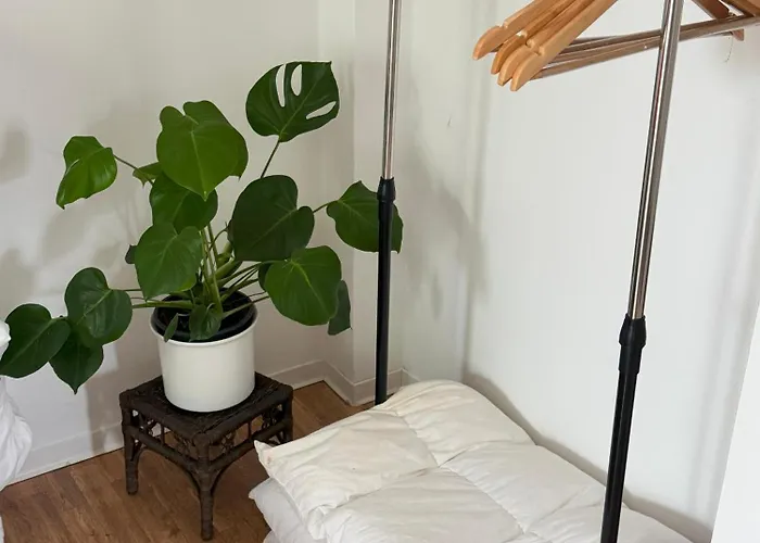 Schoene Oberwohnung In Osternburg